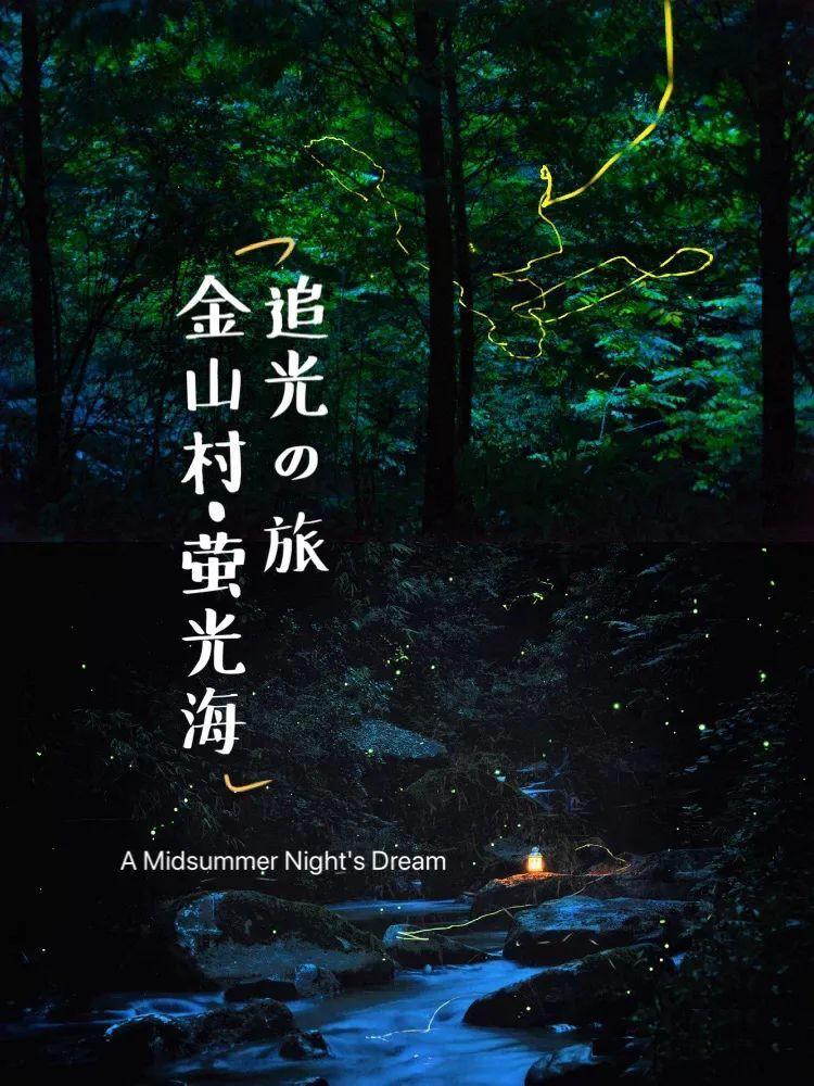 关于假发清洗你不得不知道的一些事儿~
