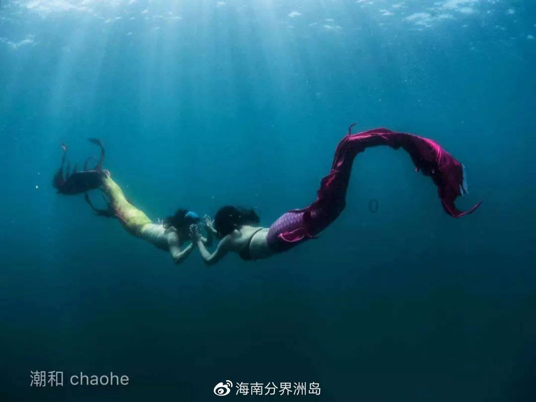 死亡细胞